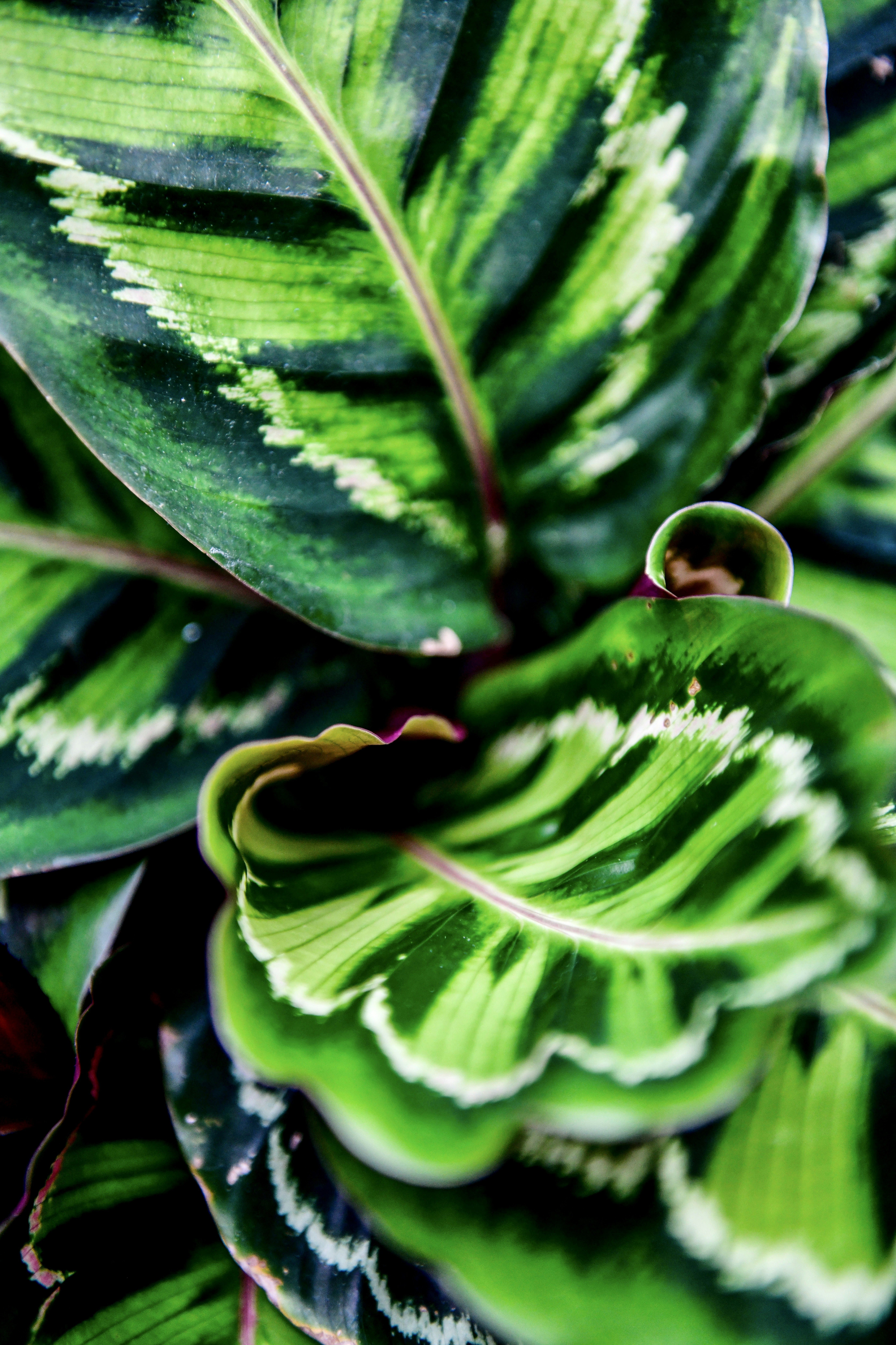 Photo by hlandkammer