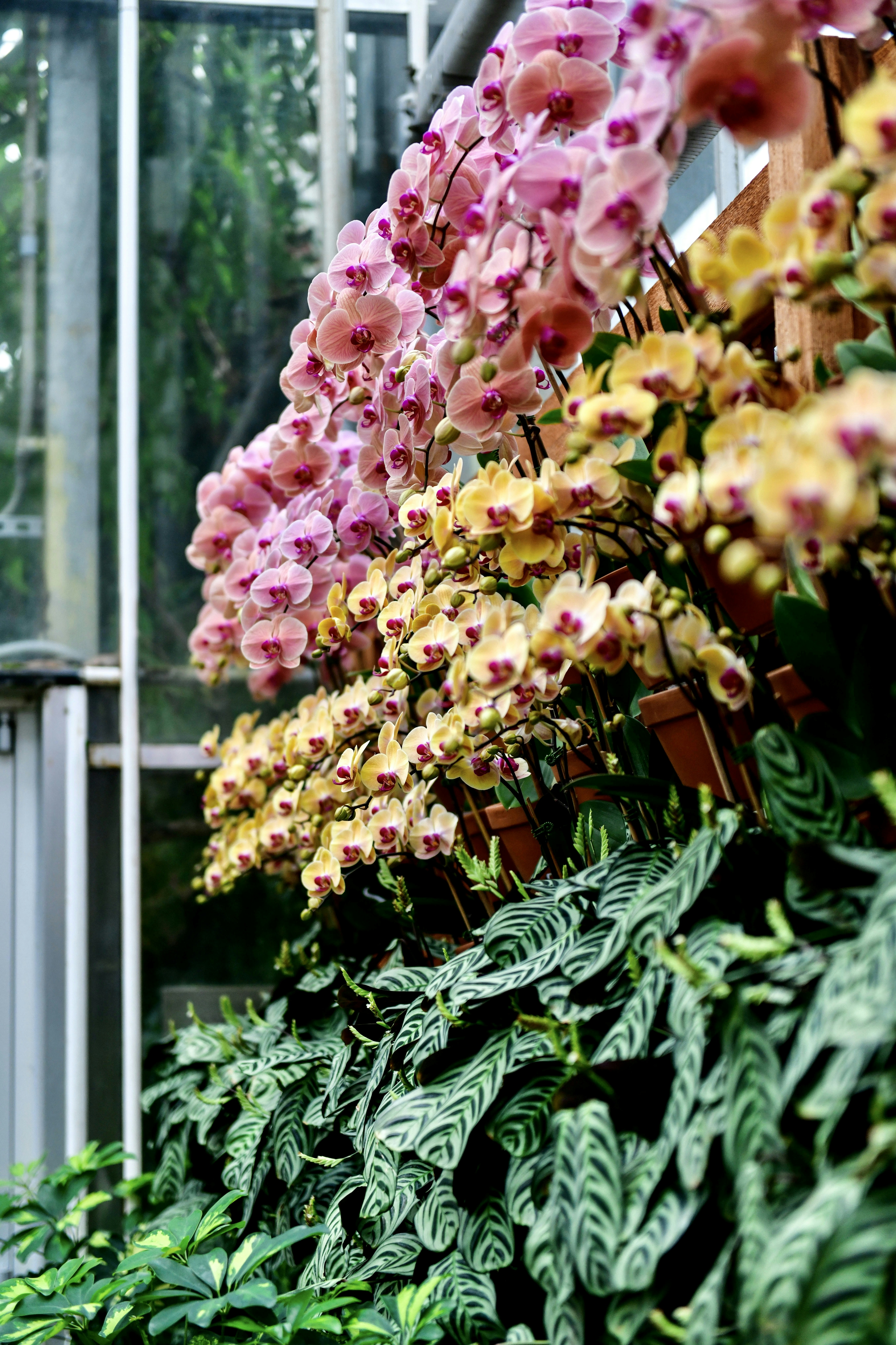 Photo by hlandkammer