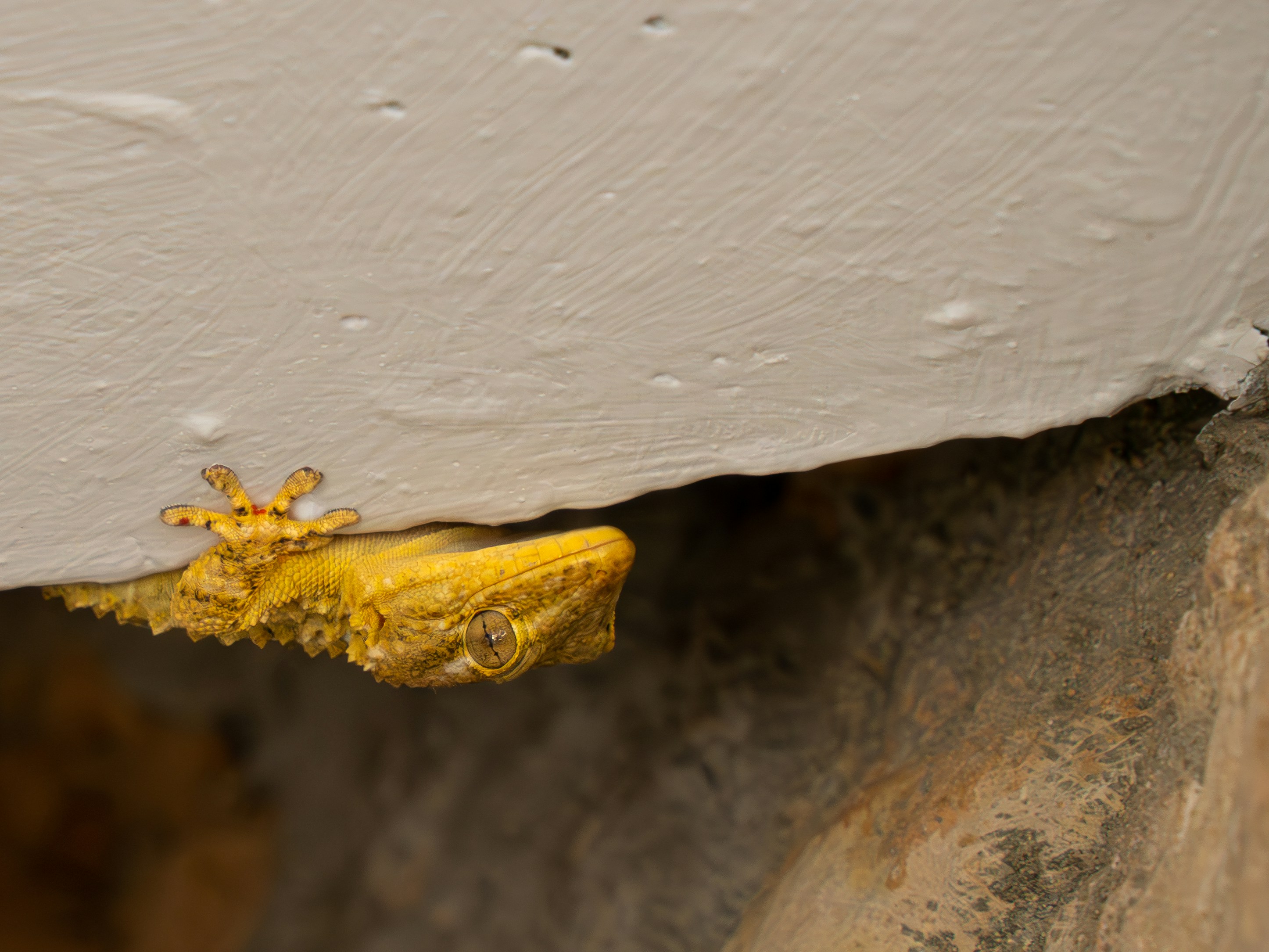 a yellow object is stuck in the corner of a wall