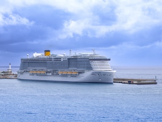 a large cruise ship in the middle of a body of water