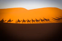 A camel caravan crossing golden Sahara dunes at sunset, with warm orange skies.