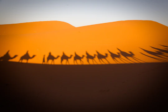Sunset casting warm hues over sand dunes with a lone camel caravan in the Thar Desert.