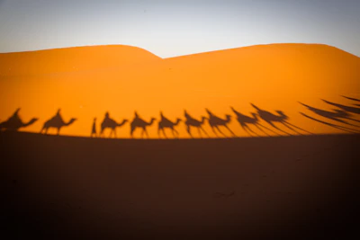 A camel caravan crossing golden dunes at sunset with warm orange hues.