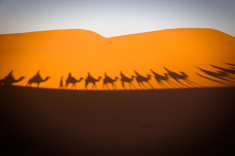 um grupo de pessoas montando camelos através de um deserto