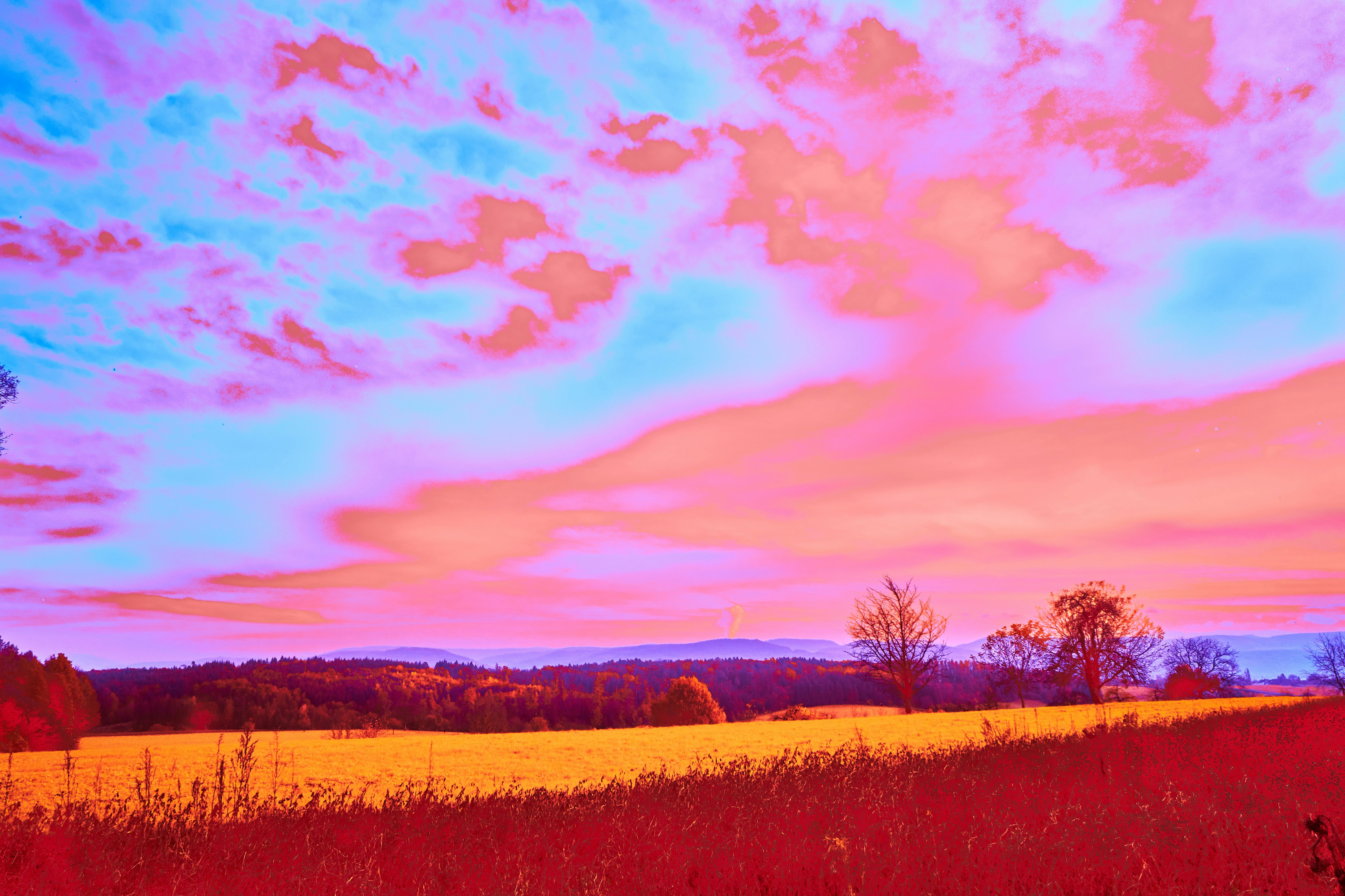 Photo by wolfgang_hasselmann