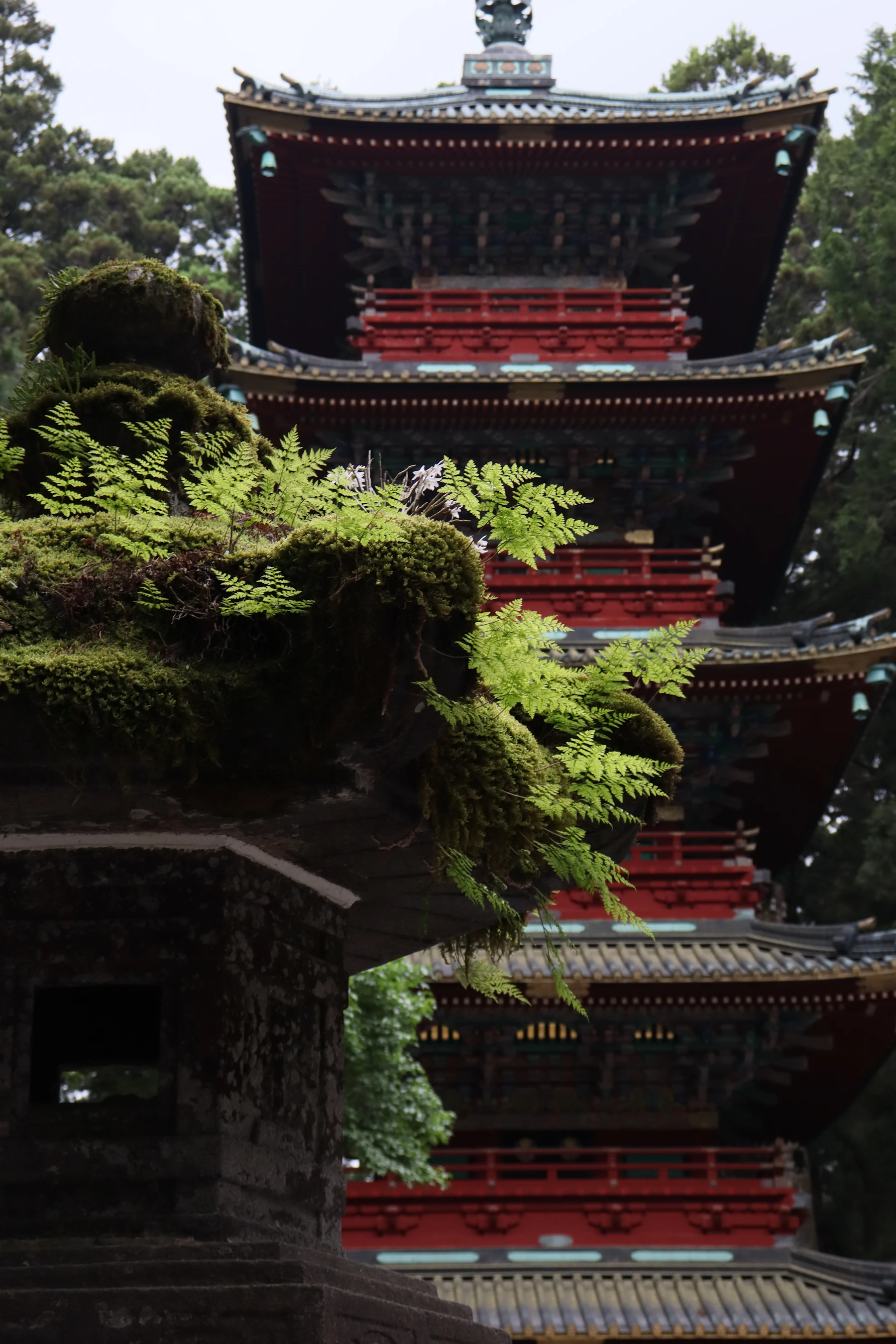 Nikko in Depth