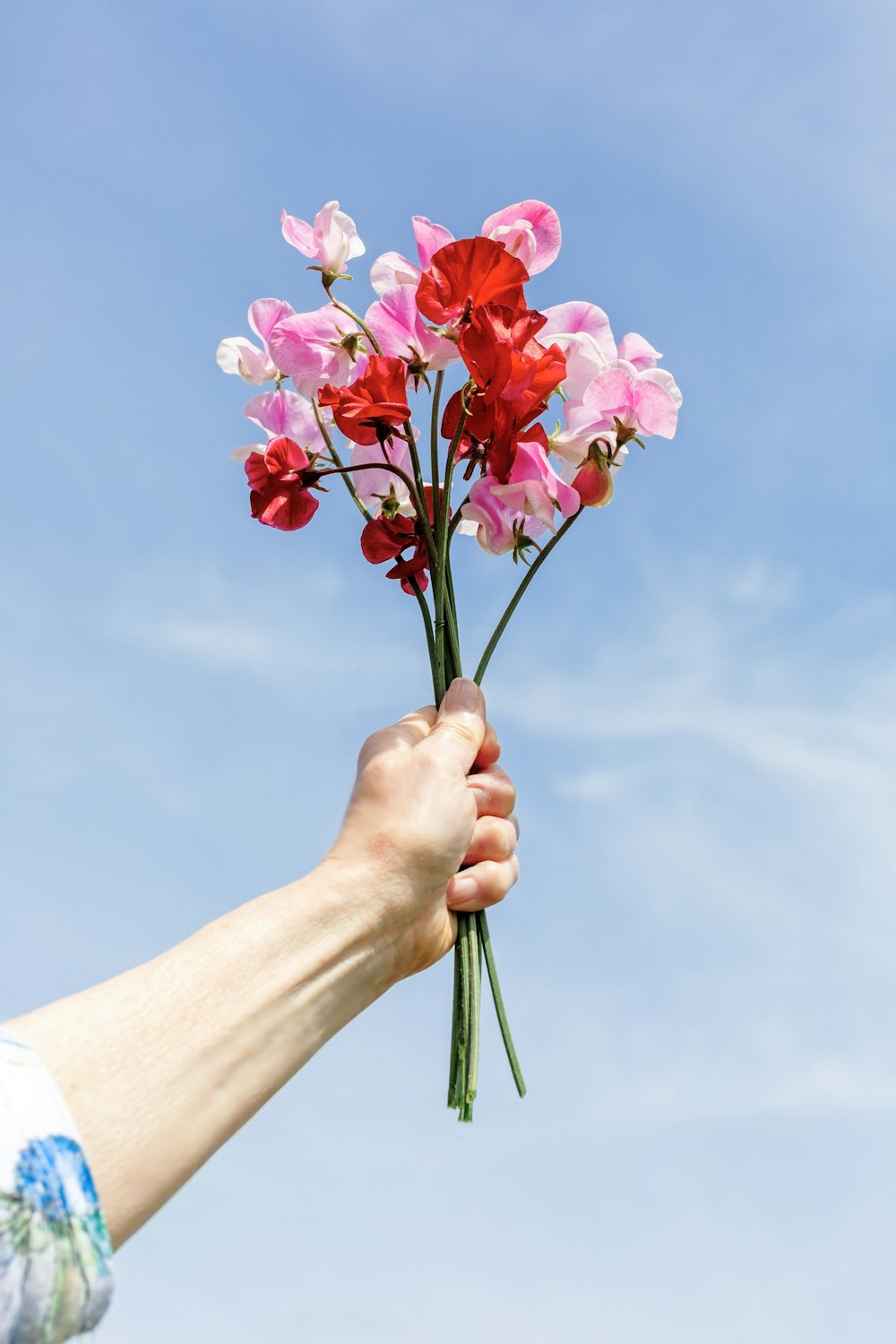 a hand holding a bunch of pink and red flowers