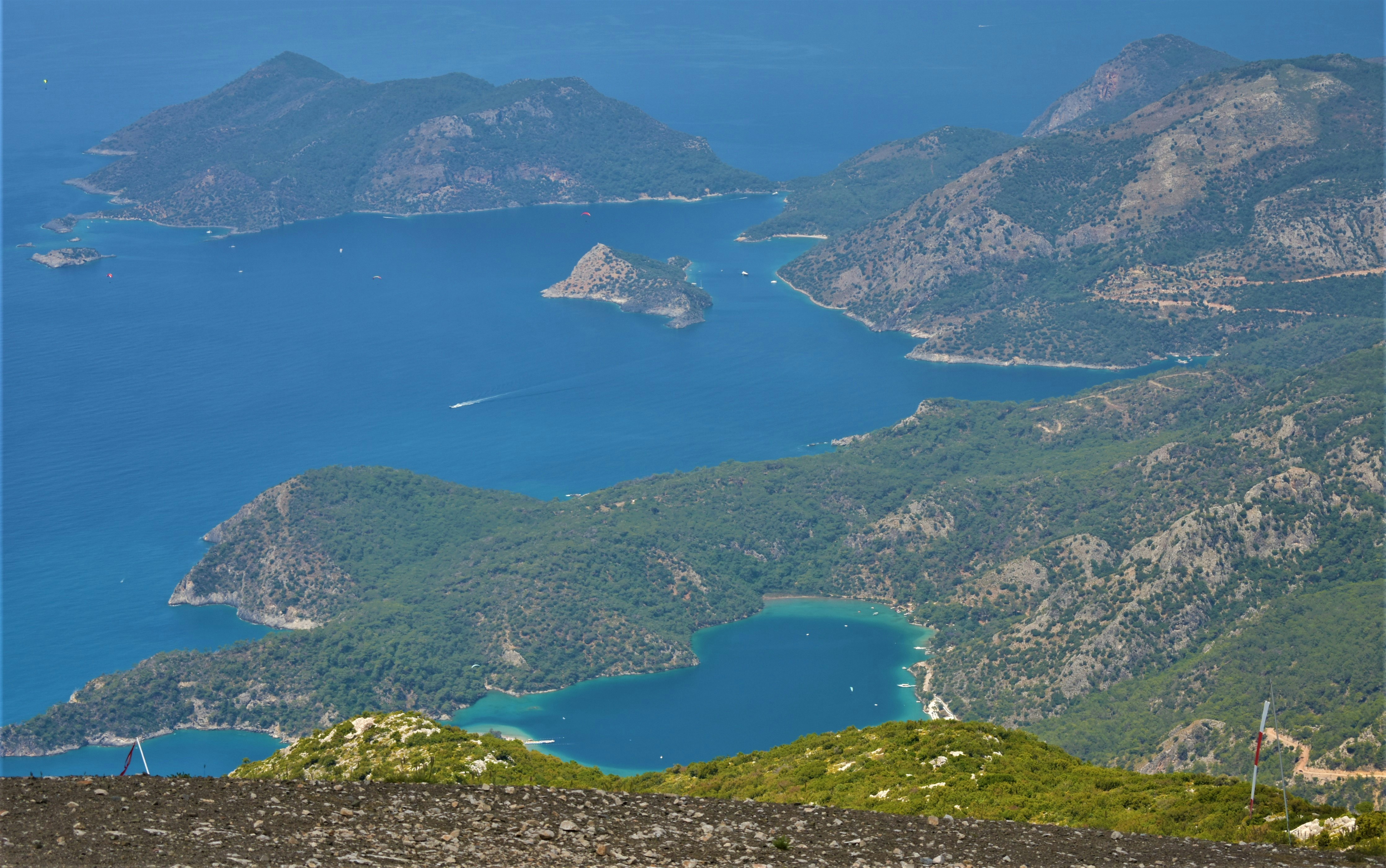 Photo by oxganggreen