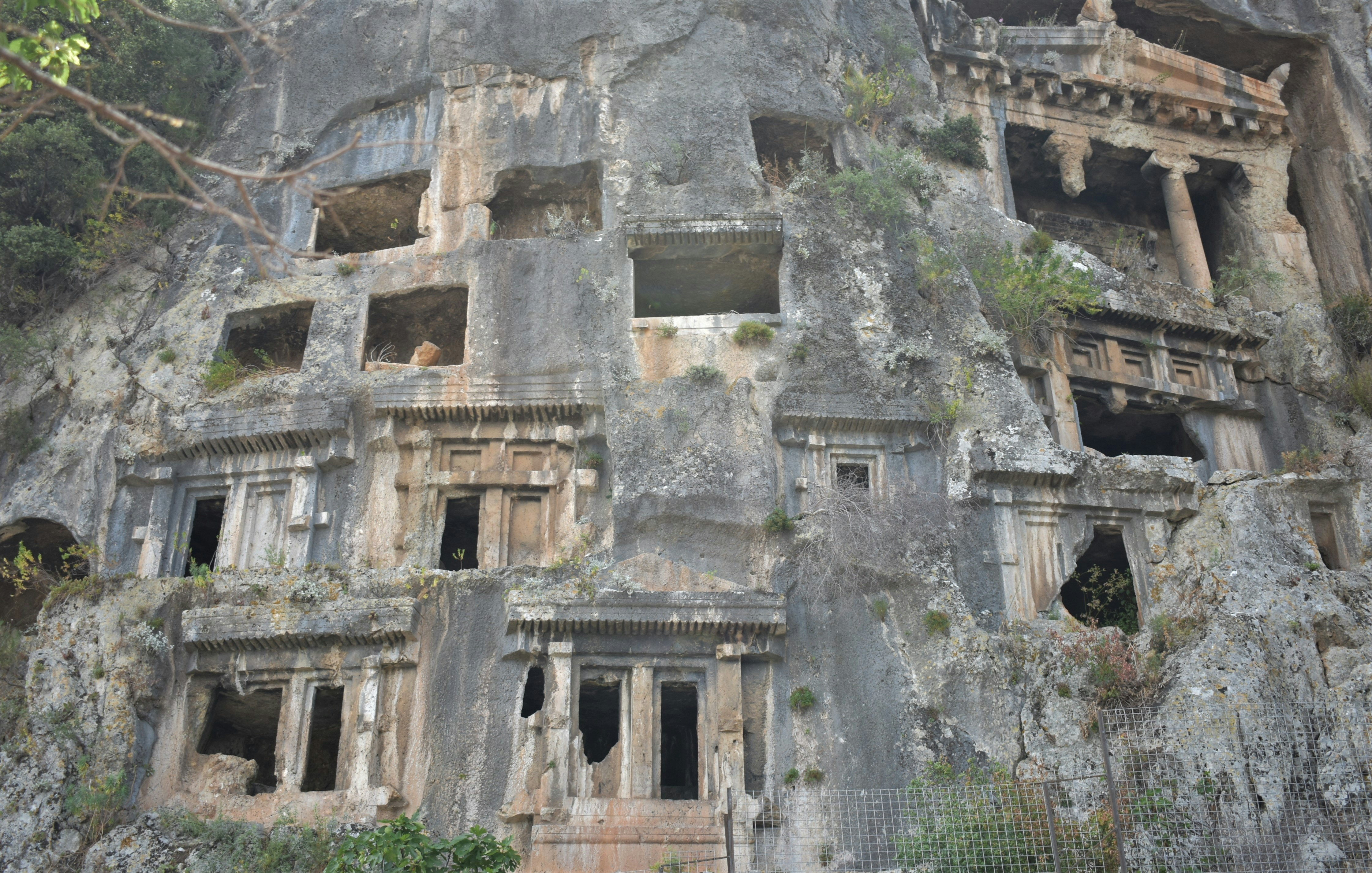 Photo by oxganggreen