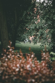 A person sitting on a park bench, looking contemplative while surrounded by nature.