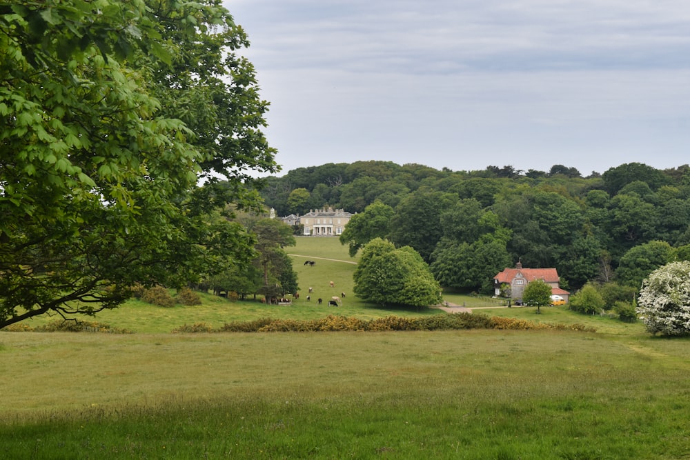 a lush green field with a house in the distance