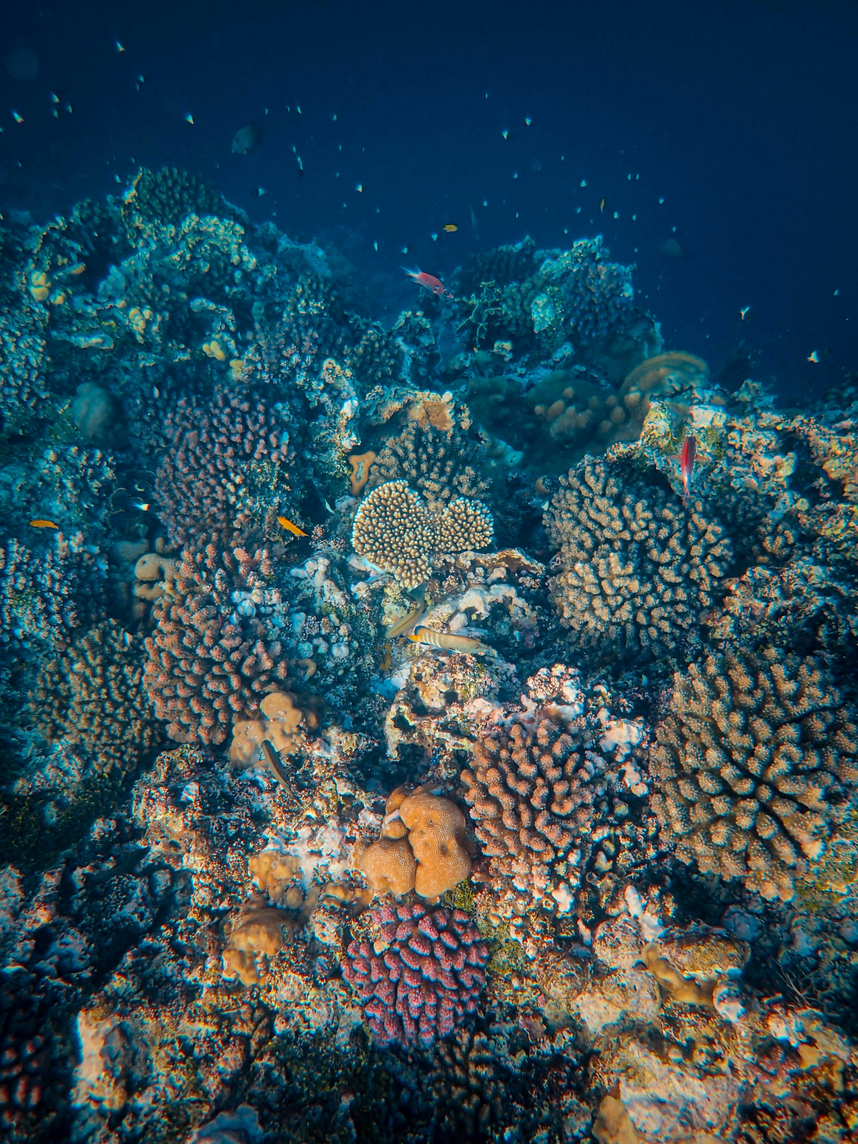 Photo by francesco_ungaro