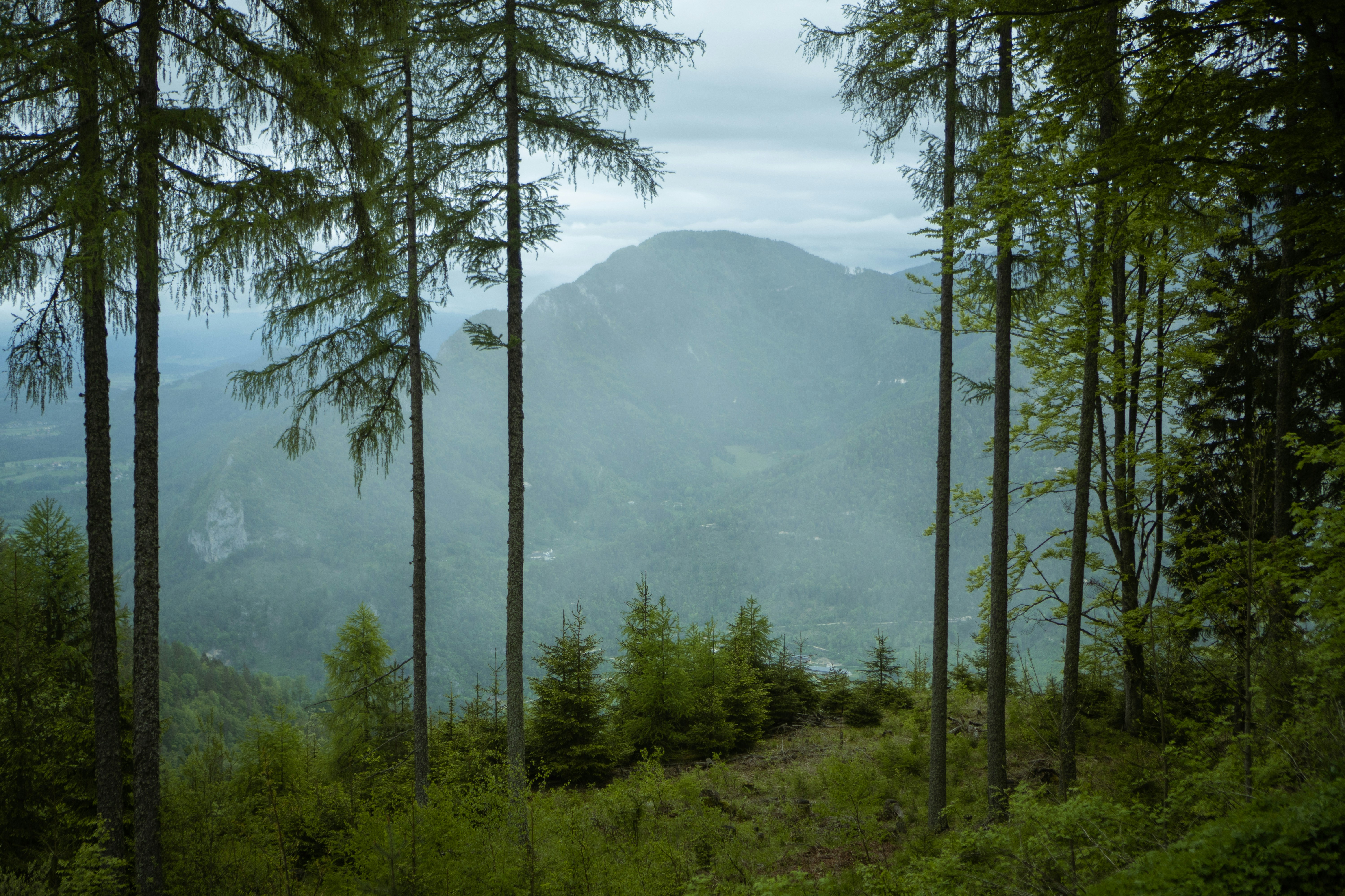 photo 1685373305504 d4622d2543eb?q=80&w=1740&auto=format&fit=crop&ixlib=rb 4.1