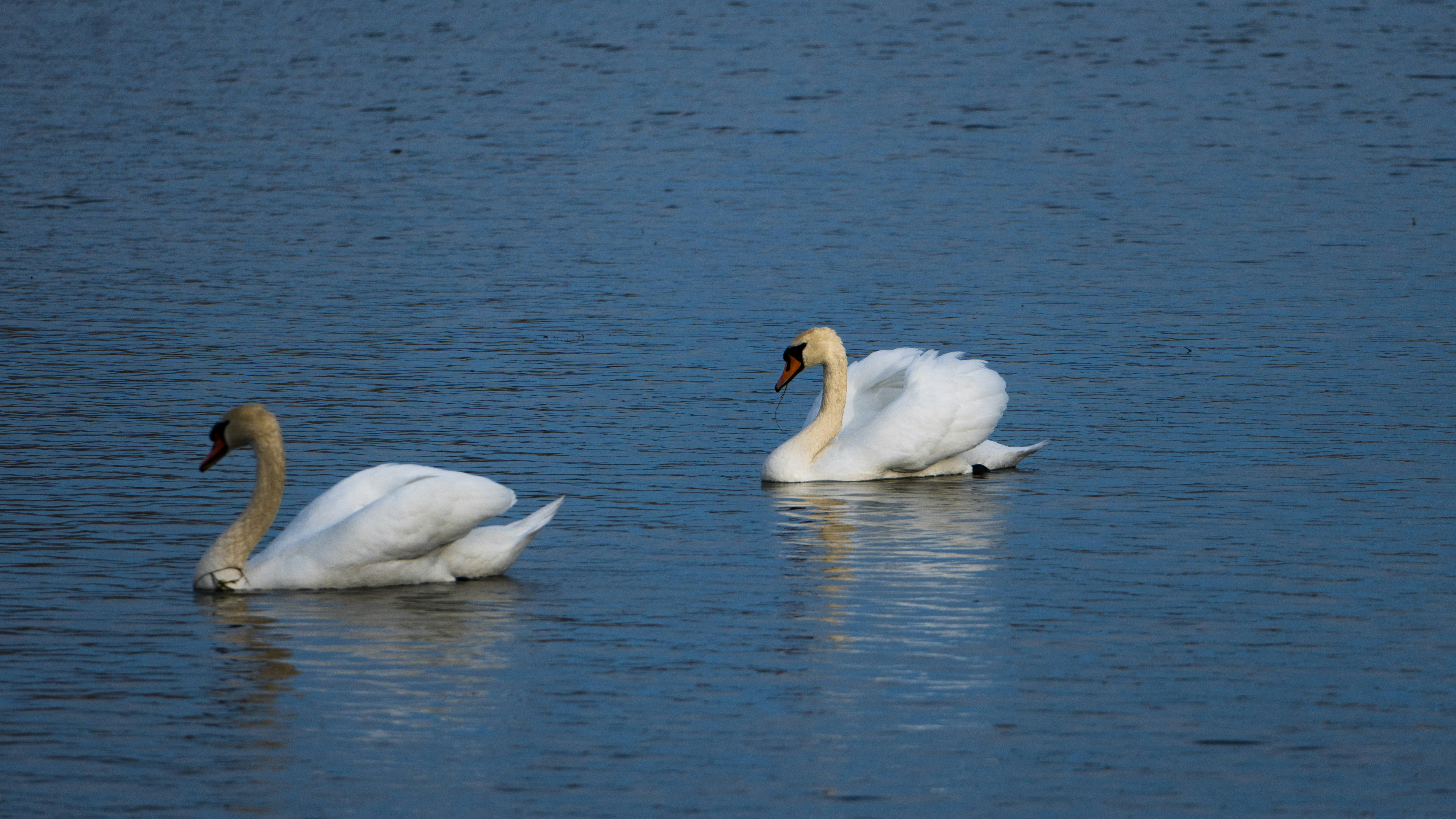 Photo by anantiscrawling