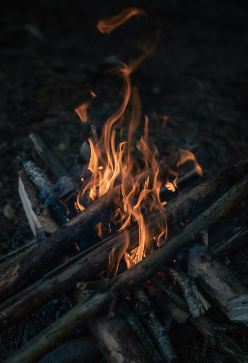 Un primer plano de un incendio en un campo