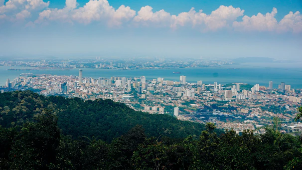 a view of a city from the top of a hill