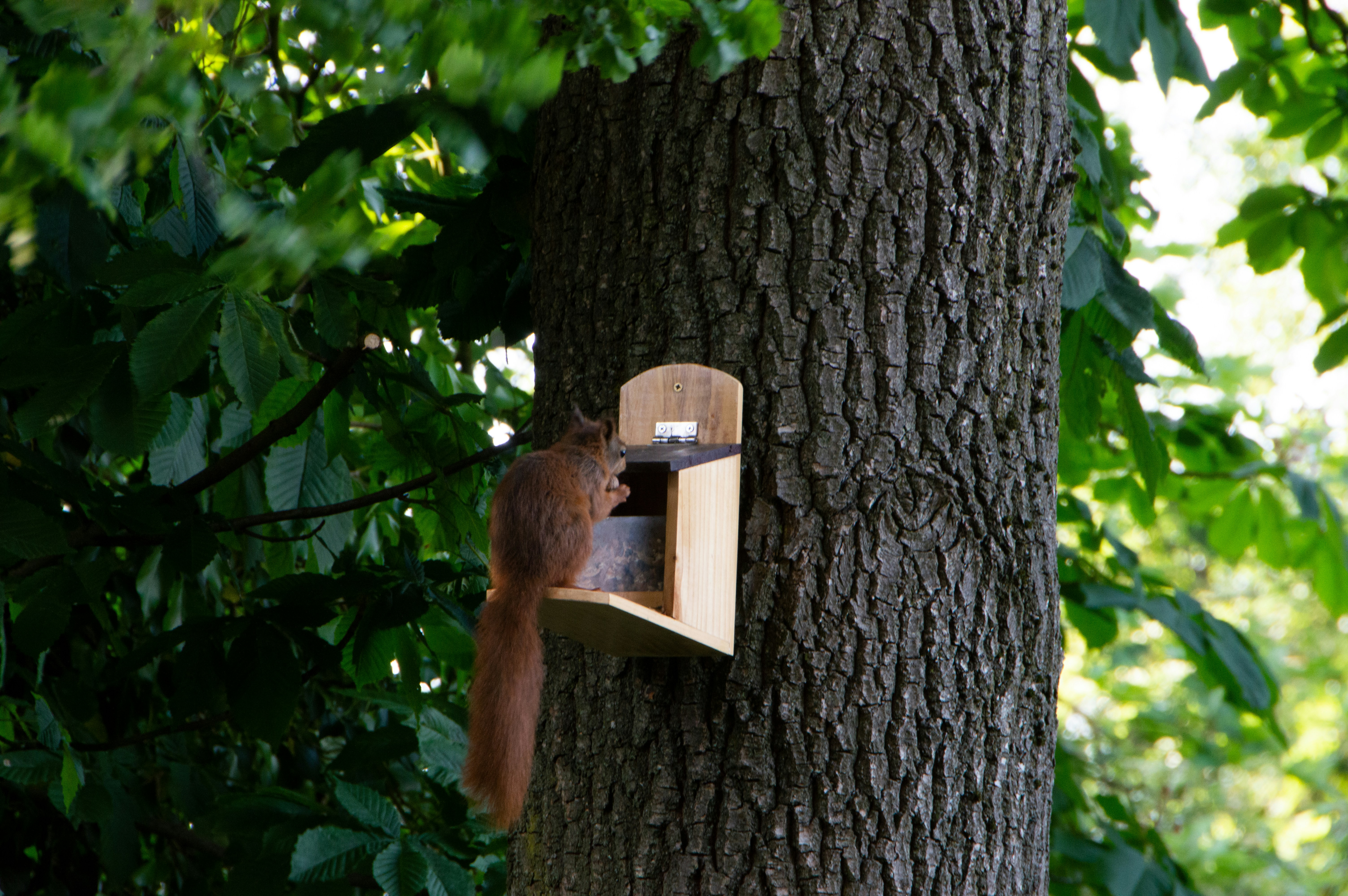 Geocaching und Erste Hilfe: Warum jeder Outdoor-Cacher vorbereitet sein sollte