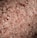 A close-up view of coarse pink salt crystals, varying in size and texture, with a subtle shimmer effect.