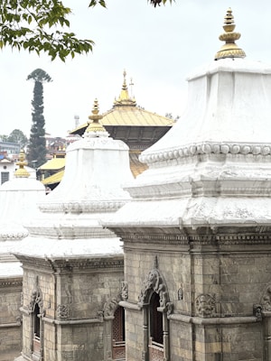 Ornate stone structures with intricate carvings and white domes are seen in the foreground, contrasting with a golden spire and roof in the background. A large, unique tree is visible behind the buildings, adding to the exotic and cultural setting.