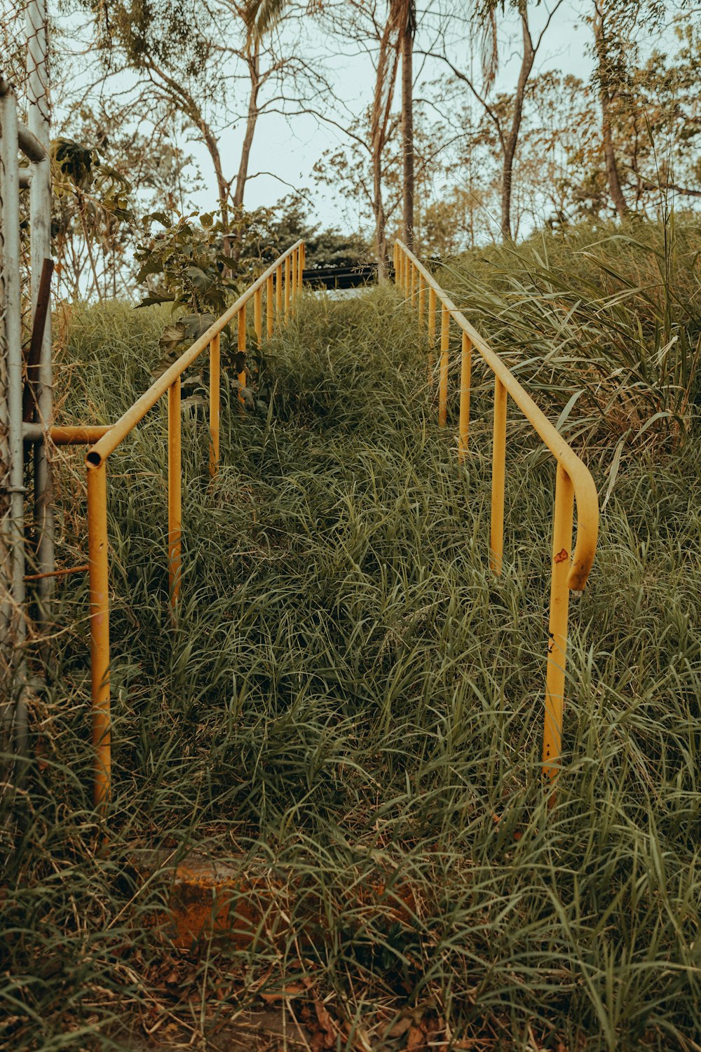 a set of yellow railings in a grassy area