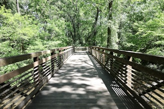 Alpharetta Greenway a unique feature that provides relaxing activities for residents