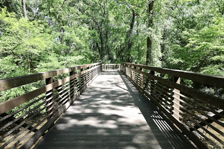 Alpharetta Greenway a unique feature that provides relaxing activities for residents