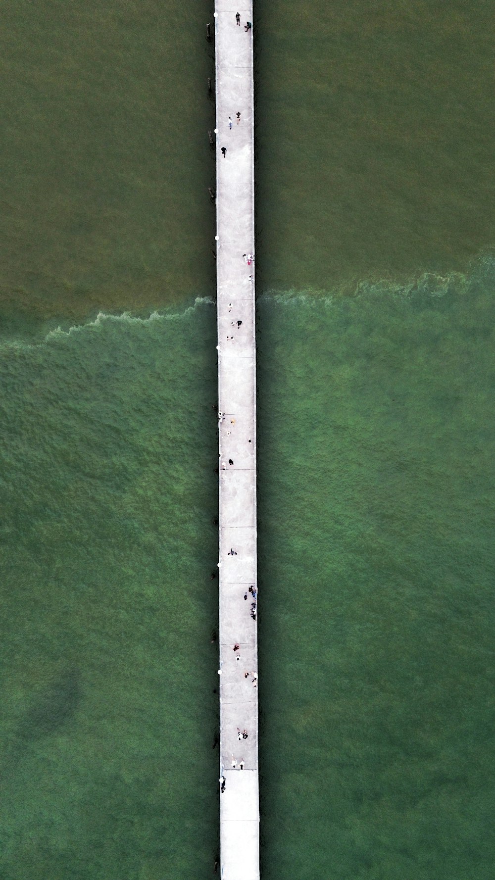 Un grupo de personas de pie en un muelle en el agua