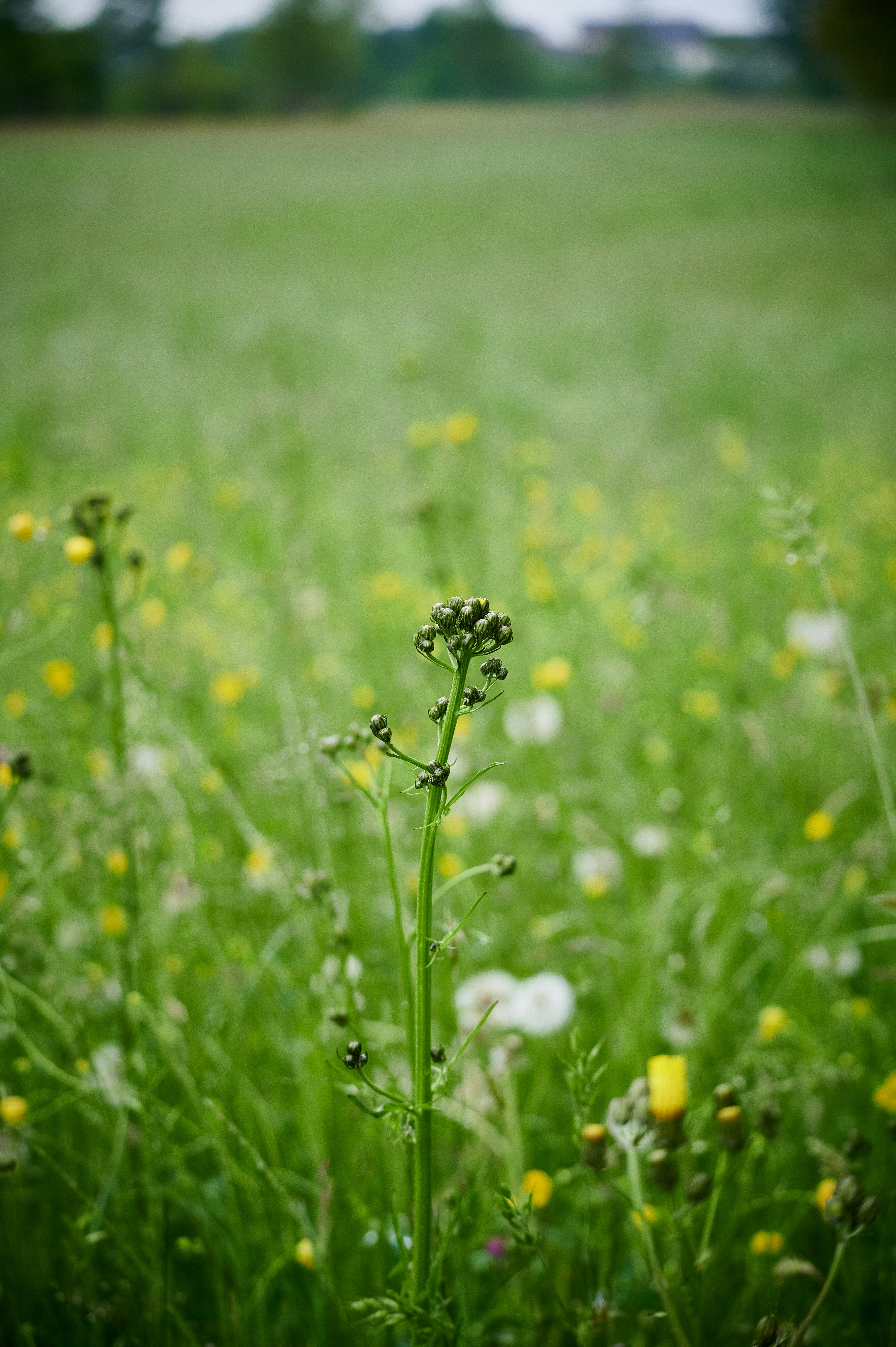 Photo by stefanschwinghammer