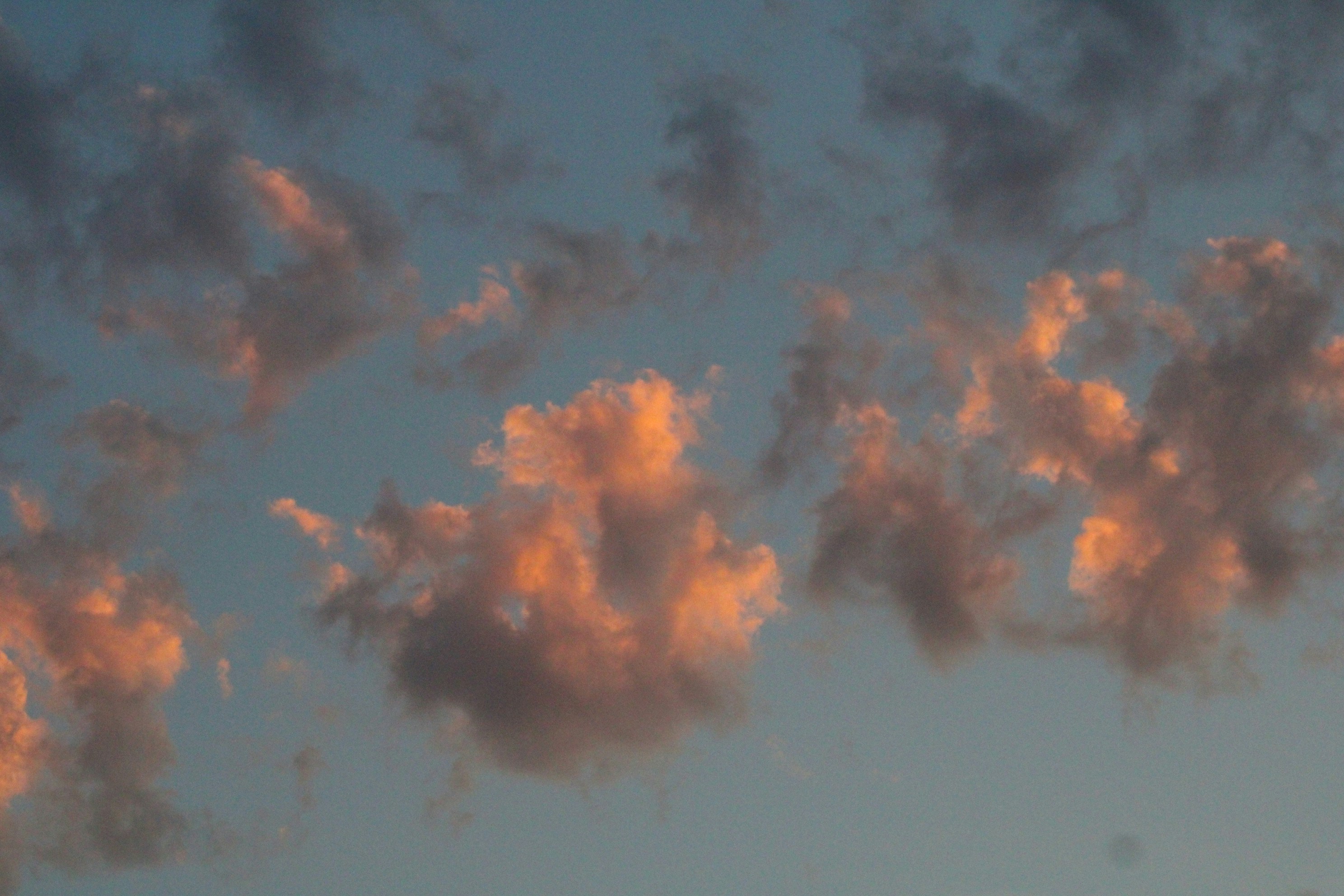 Photo by isaacstevenlind