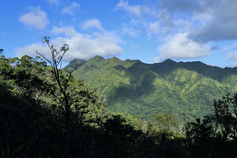 a view of a mountain range from a distance