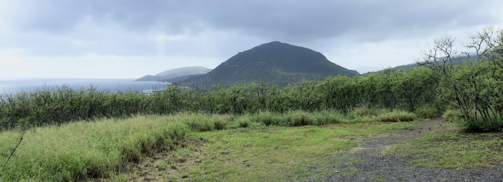 a dirt path with a mountain in the background