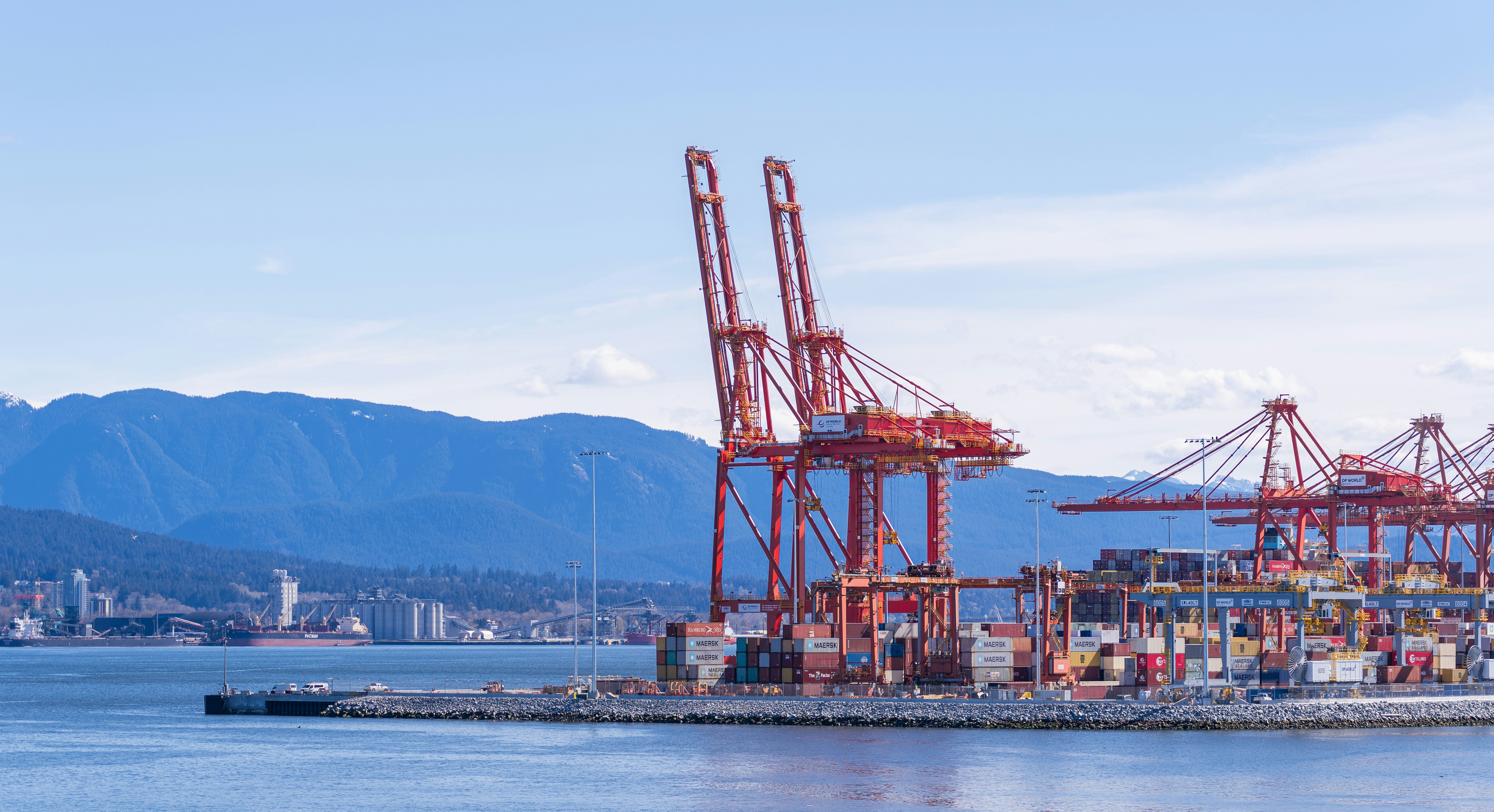 una gran masa de agua llena de muchas grúas