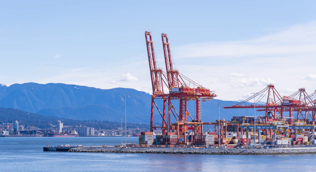a large body of water filled with lots of cranes