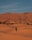 a person walking across a sandy field in the desert