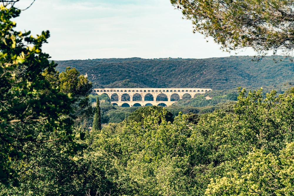 a large bridge over a lush green forest