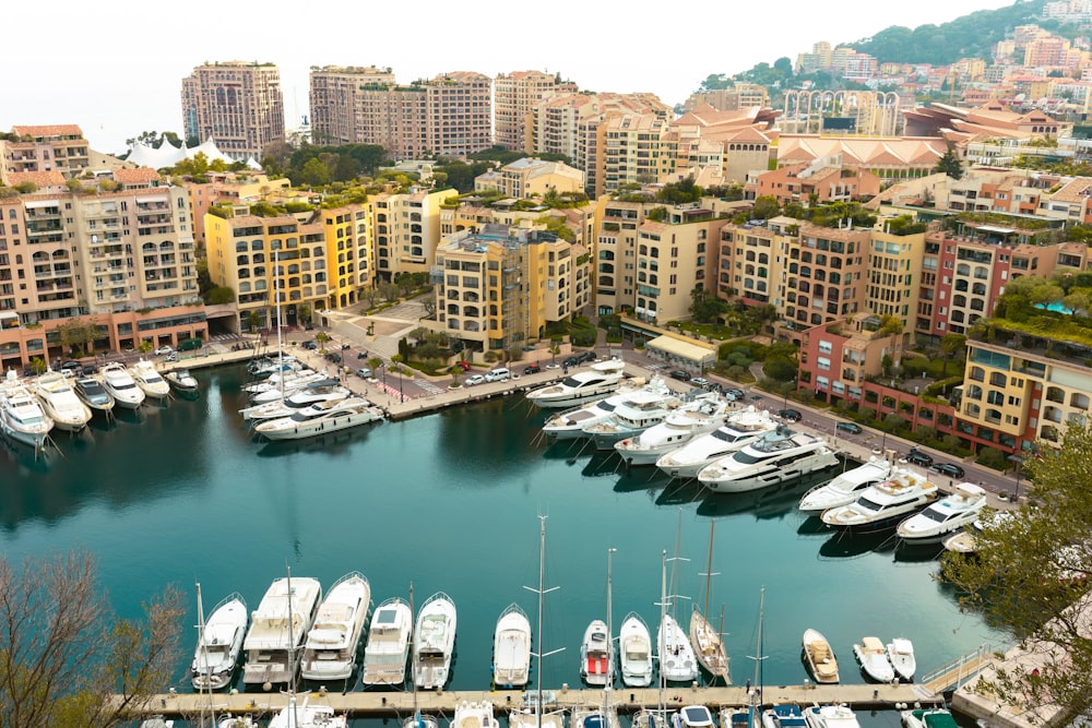 a marina filled with lots of boats next to tall buildings