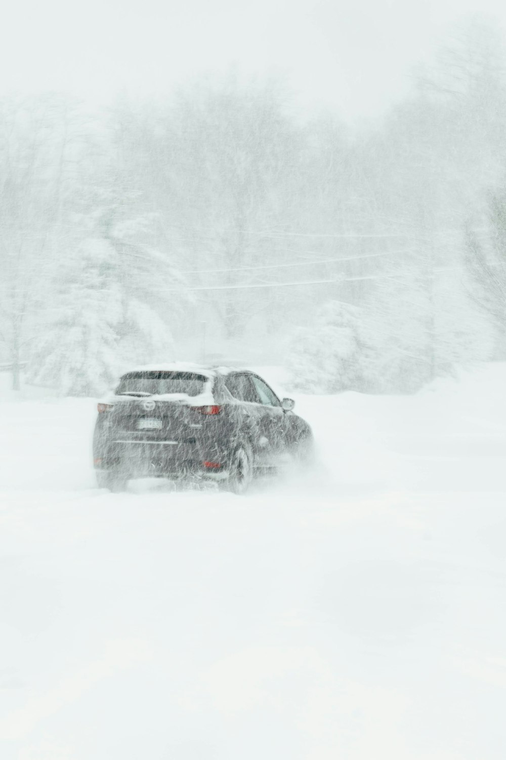 雪に覆われた野原を走る車