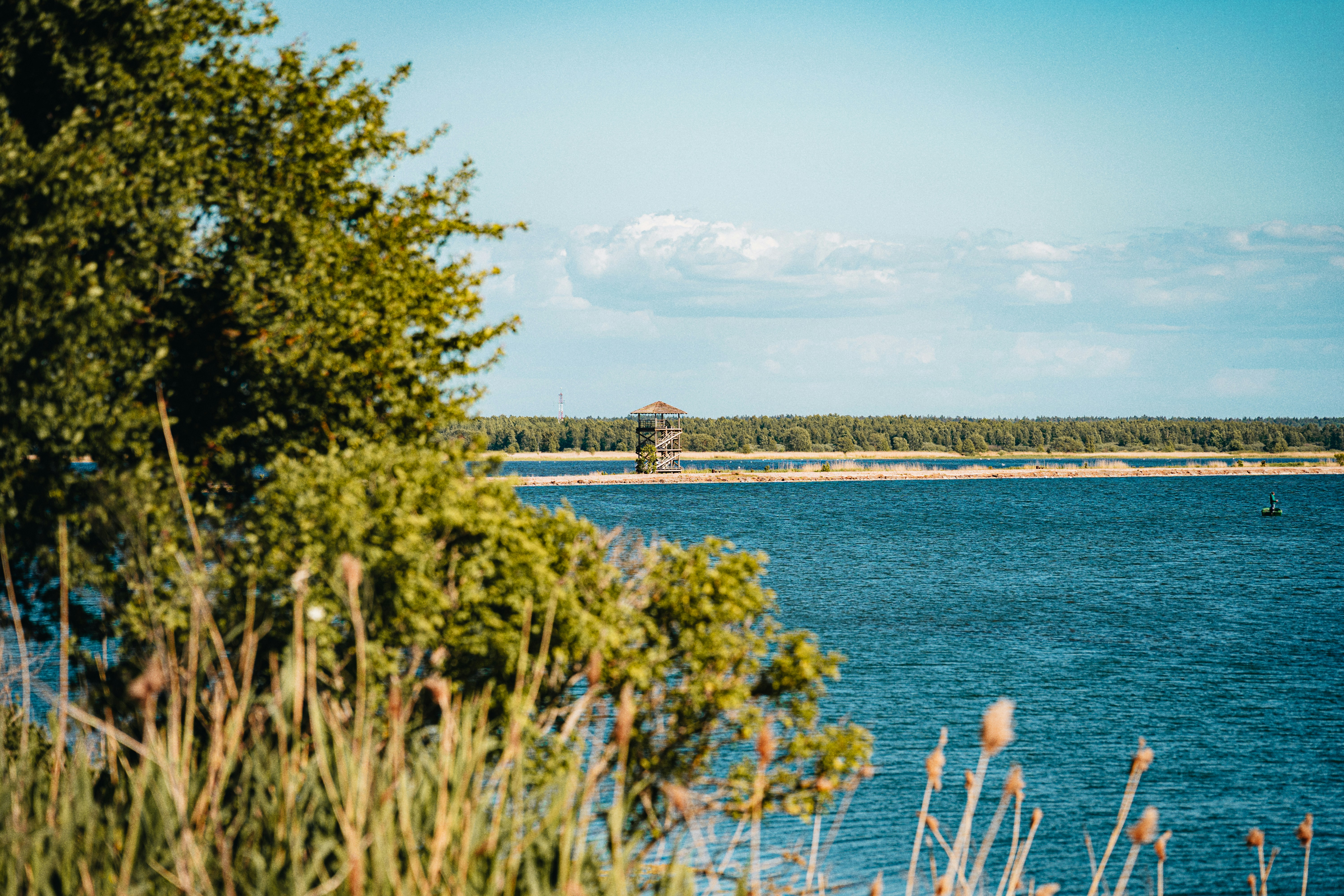 Photo by alexshuperart