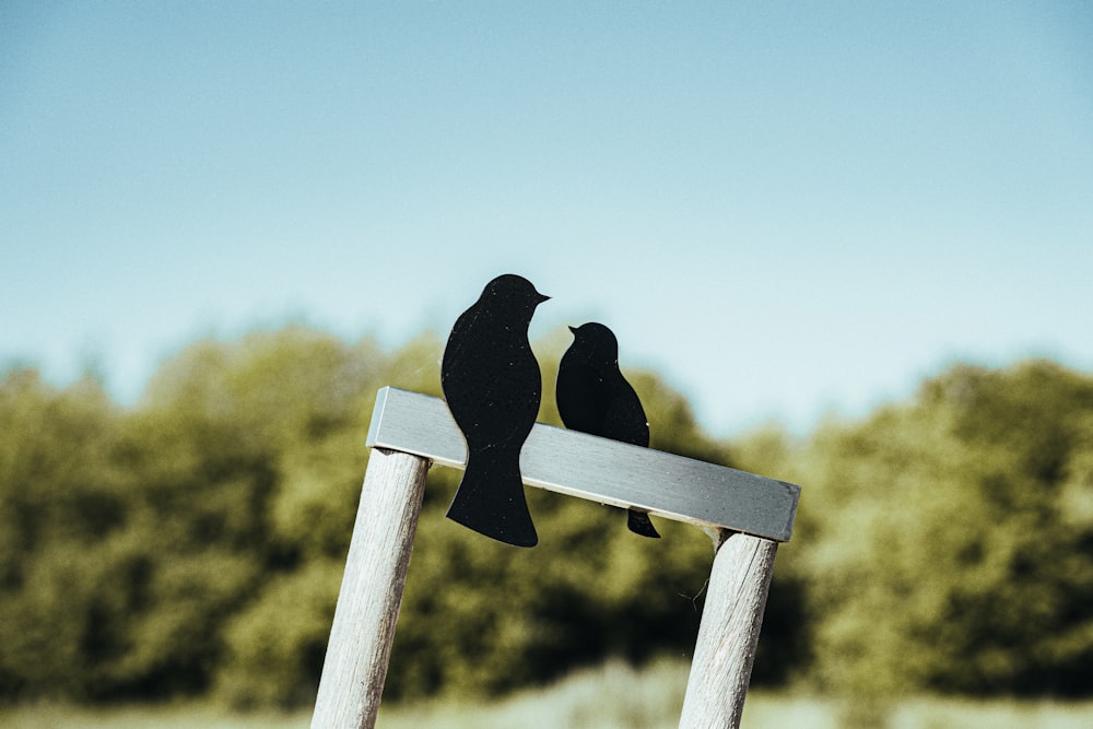 a couple of birds sitting on top of a metal pole