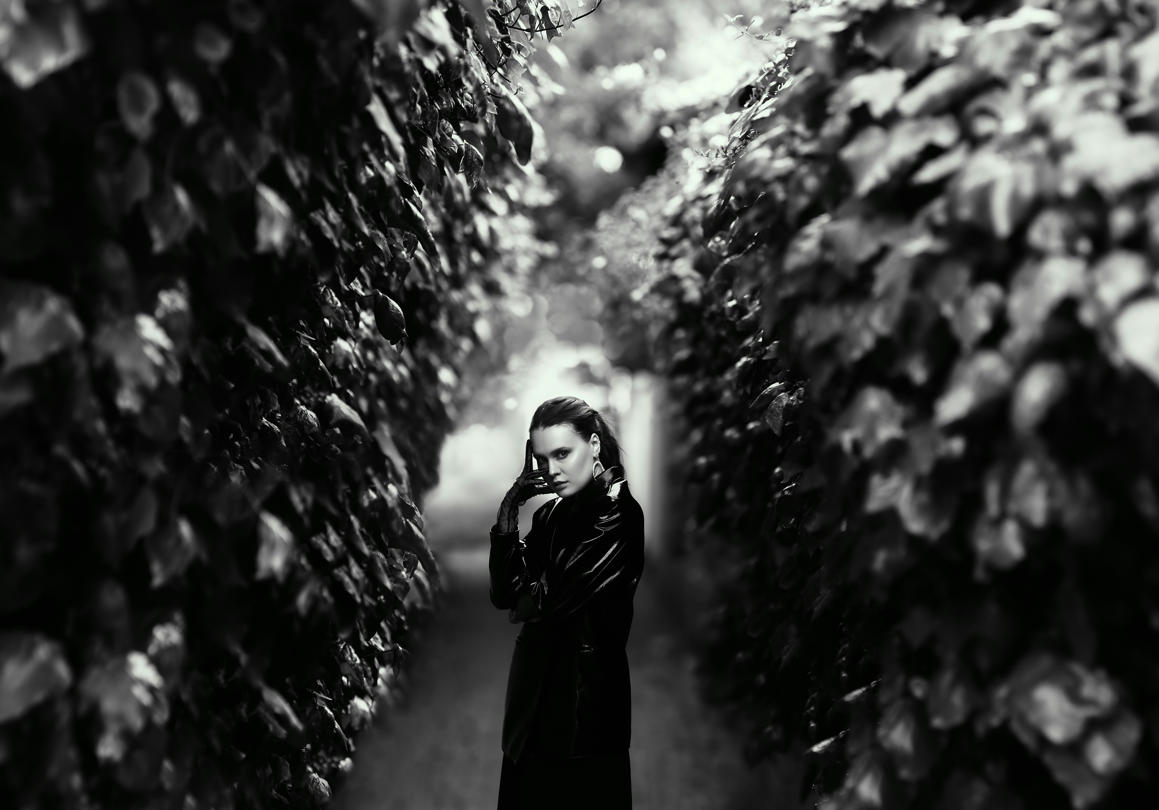 Photo by shahinkhalaji