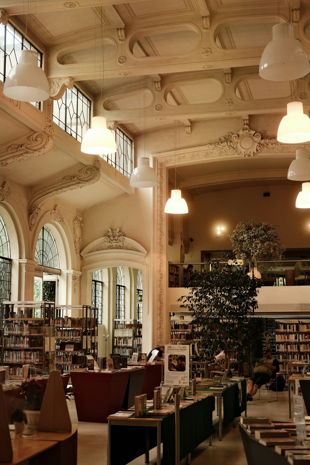 uma biblioteca cheia de livros e uma árvore