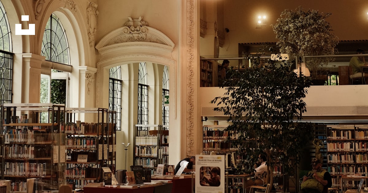 A library filled with lots of books and a tree photo – Free Trento ...