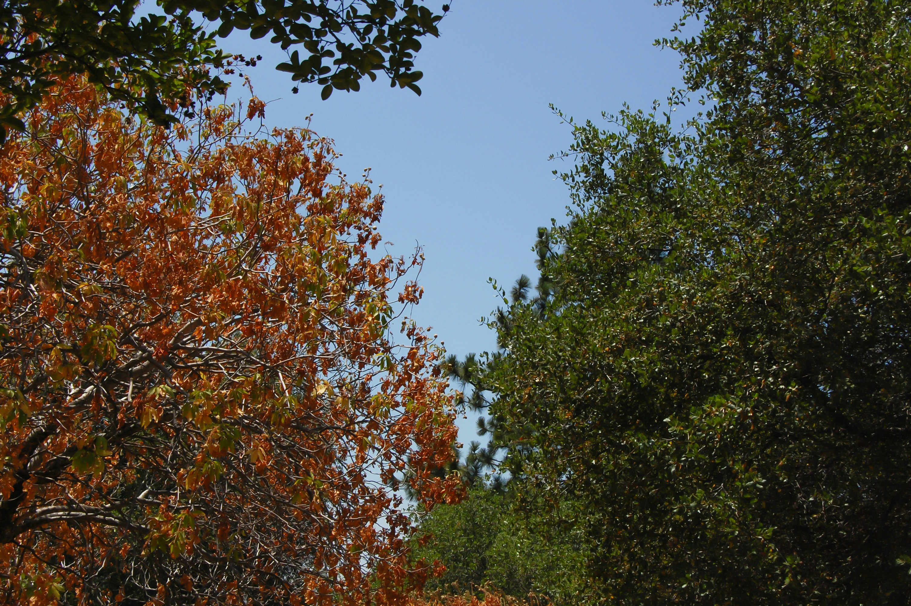 Photo by evanbaptista