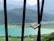 A serene landscape with a locked safe, symbolizing security and asset protection.