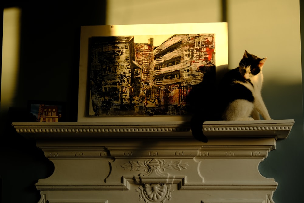 a black and white cat sitting on top of a mantle