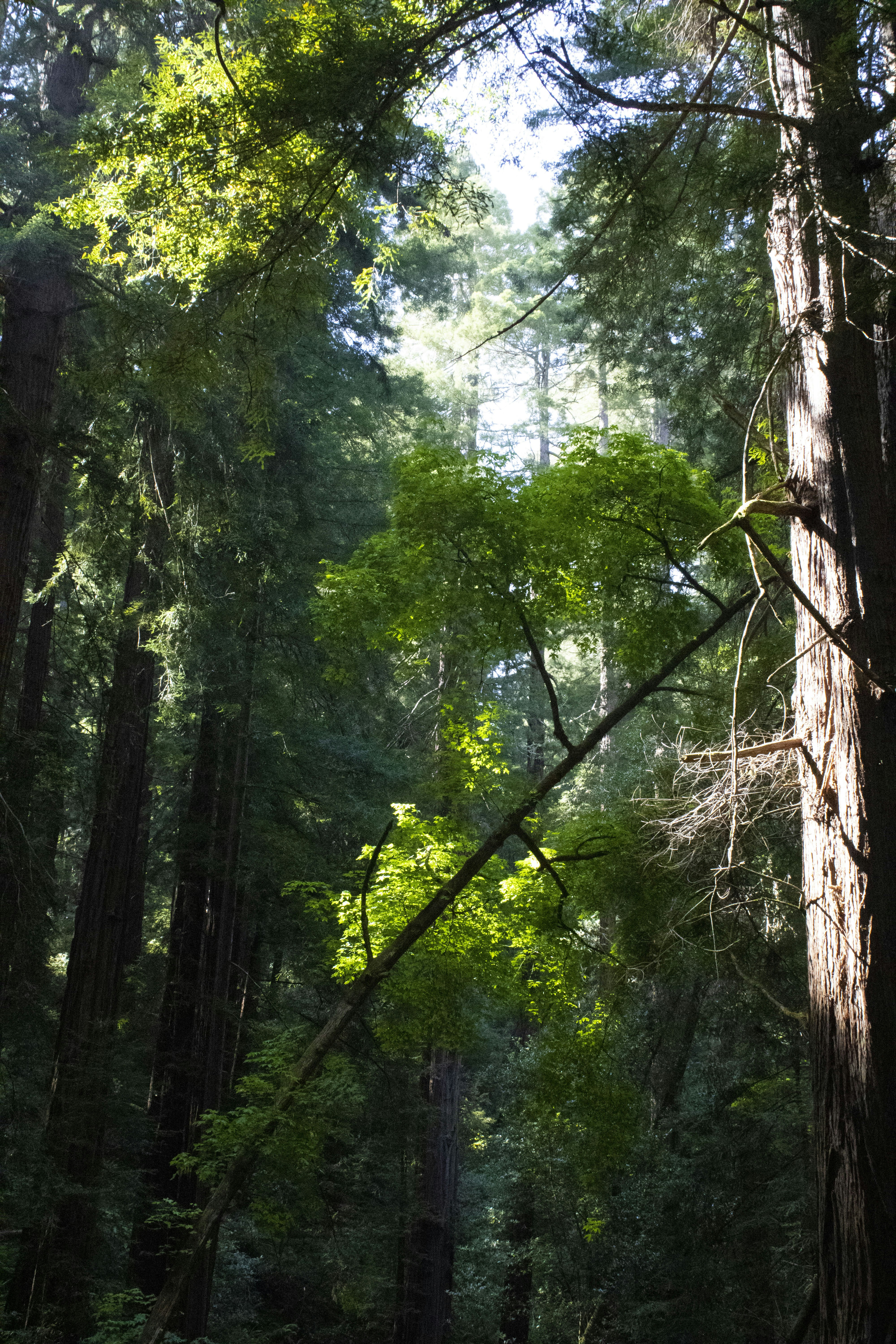 Photo by nico_mikaela17