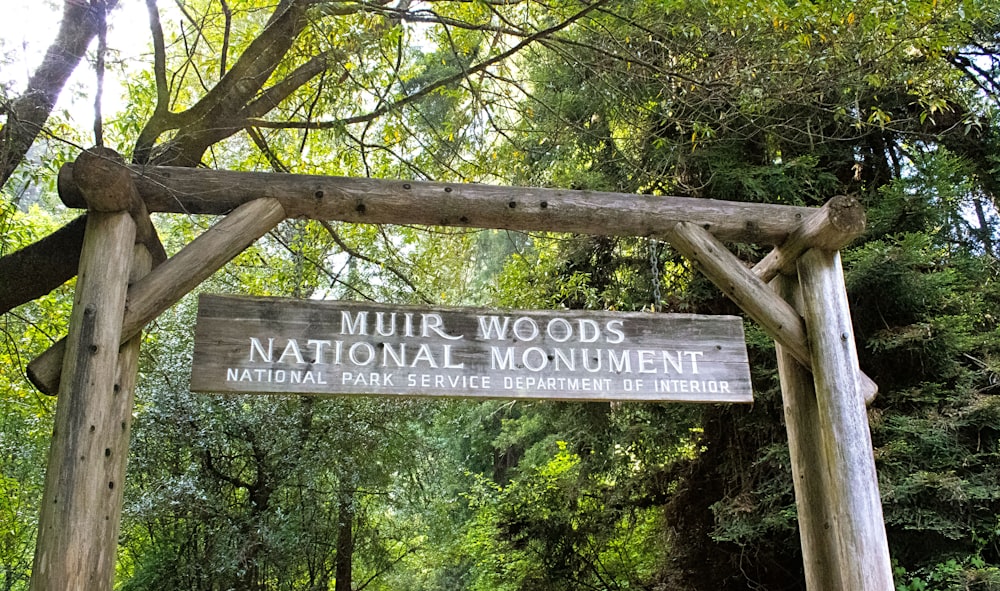 a wooden sign that is in the middle of a forest