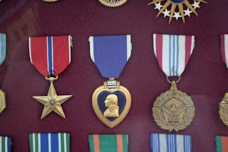 a group of medals on display in a case