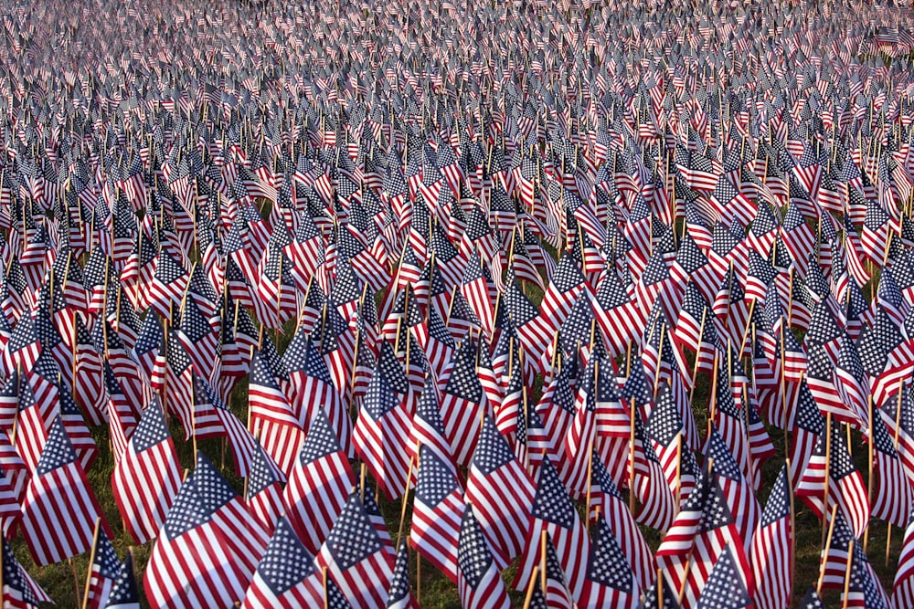 a field full of american flags with trees in the background