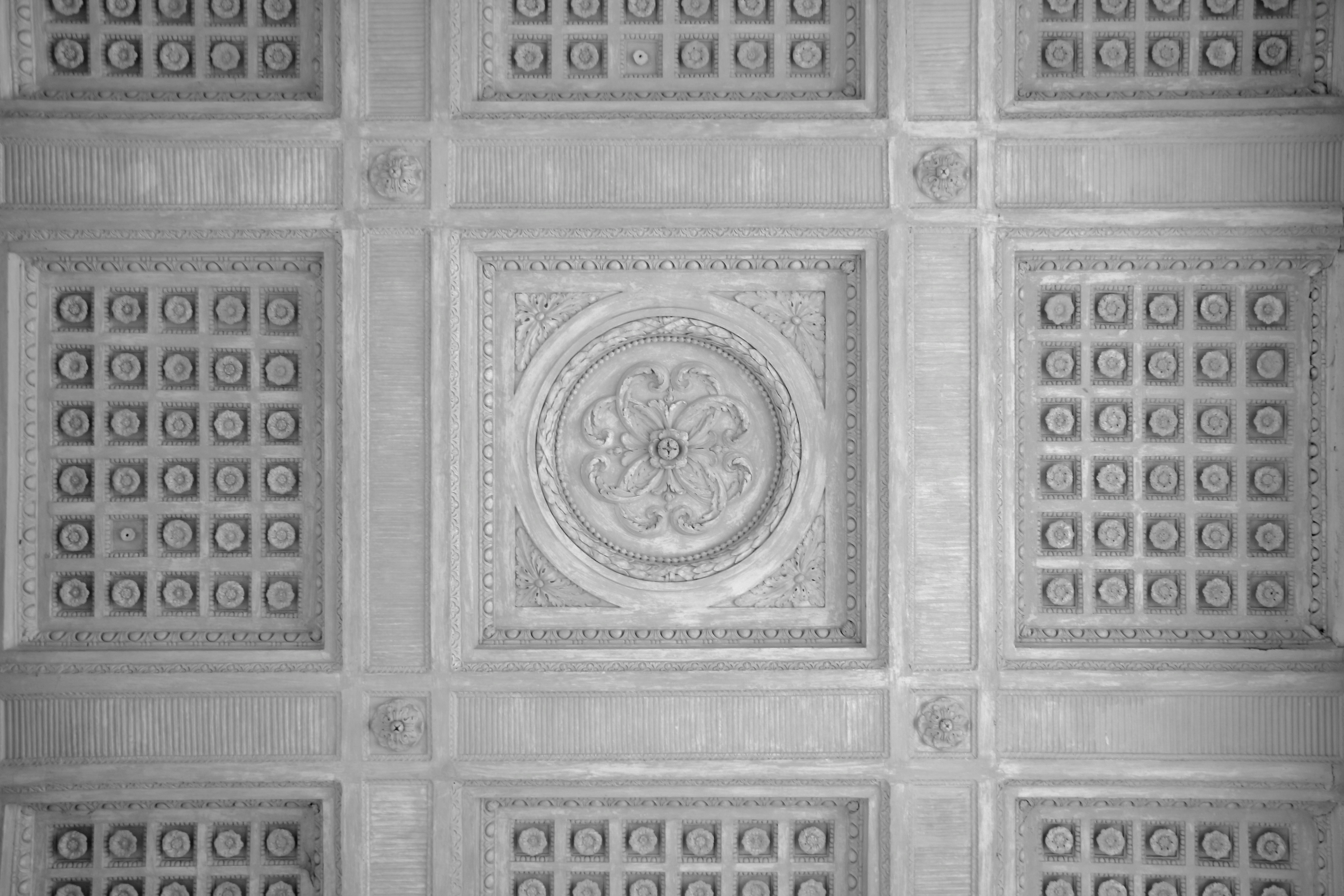 Photo by klarin_steffens